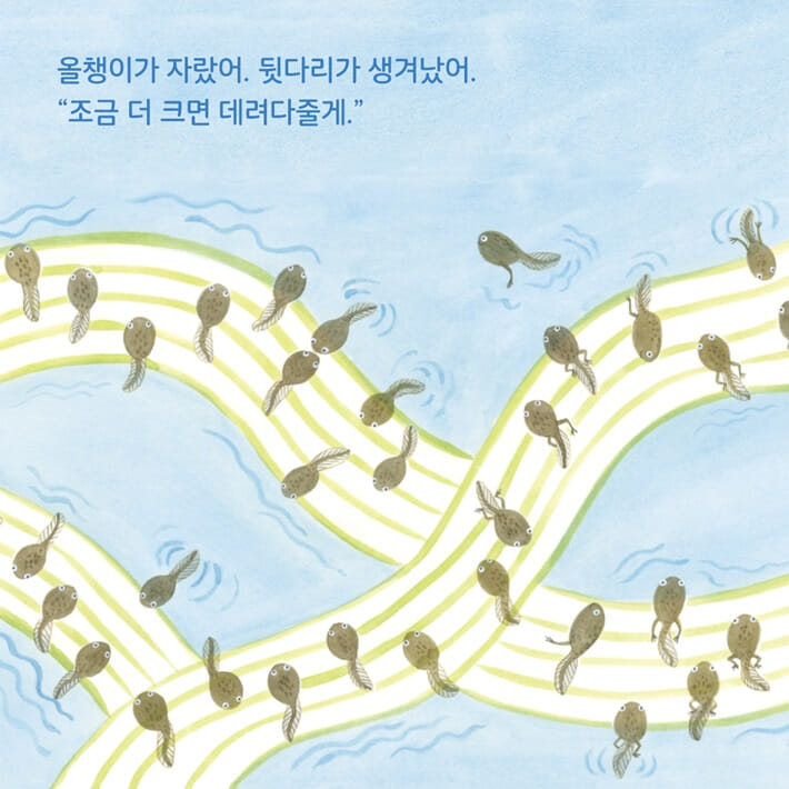 카드뉴스4