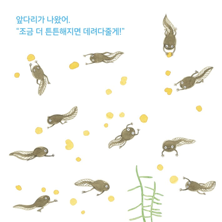 카드뉴스5