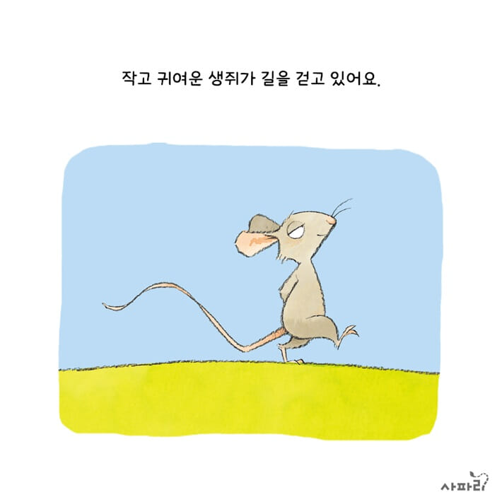 카드뉴스1