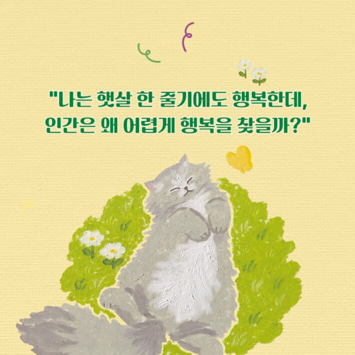 카드뉴스5