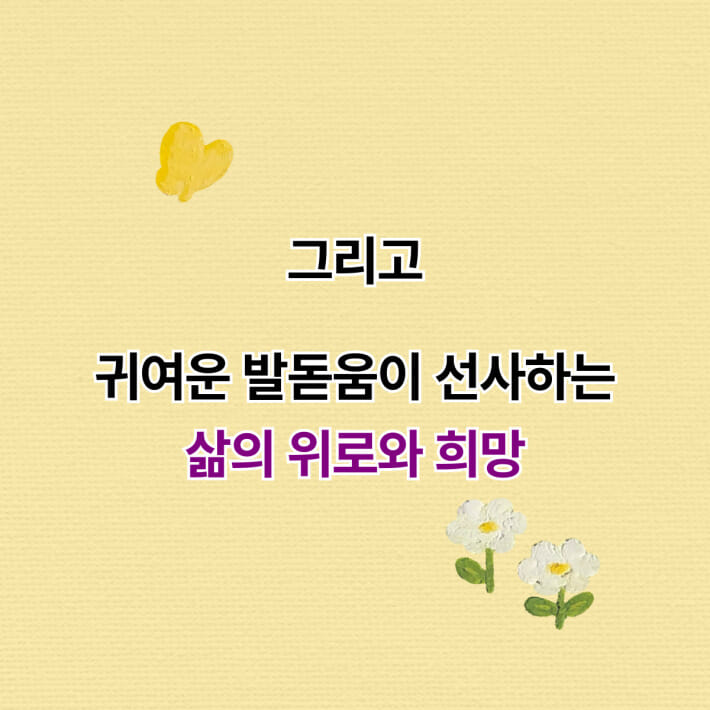 카드뉴스7