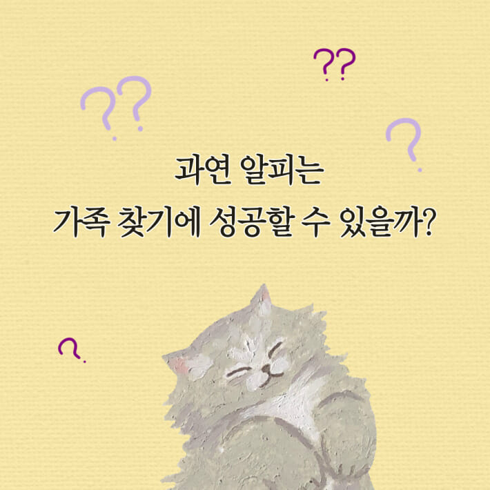 카드뉴스8