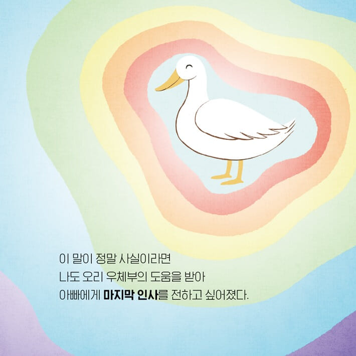 카드뉴스4