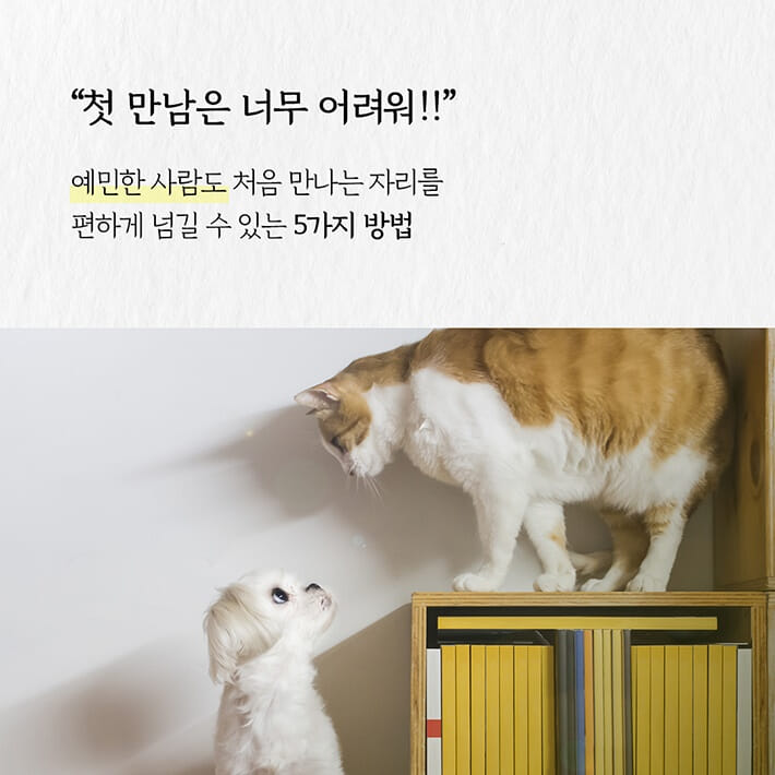 카드뉴스0