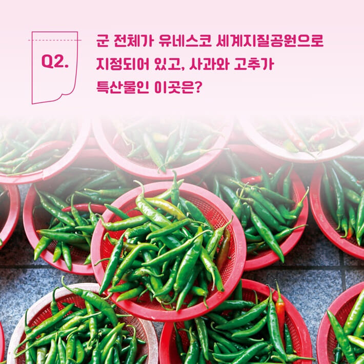카드뉴스2