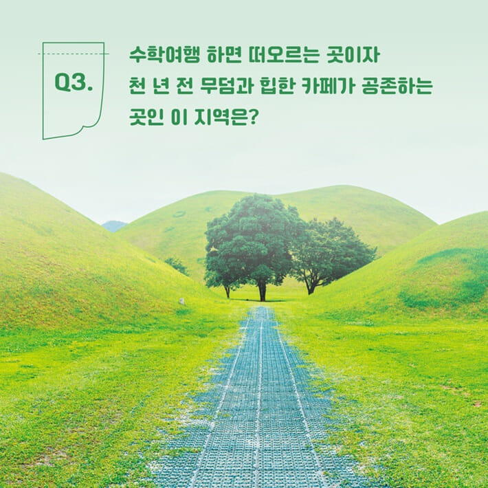 카드뉴스3