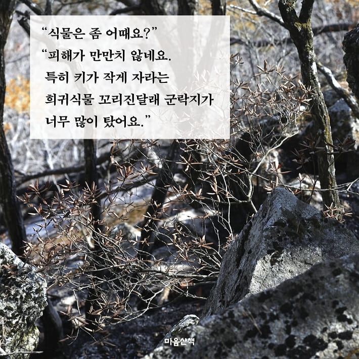 카드뉴스0