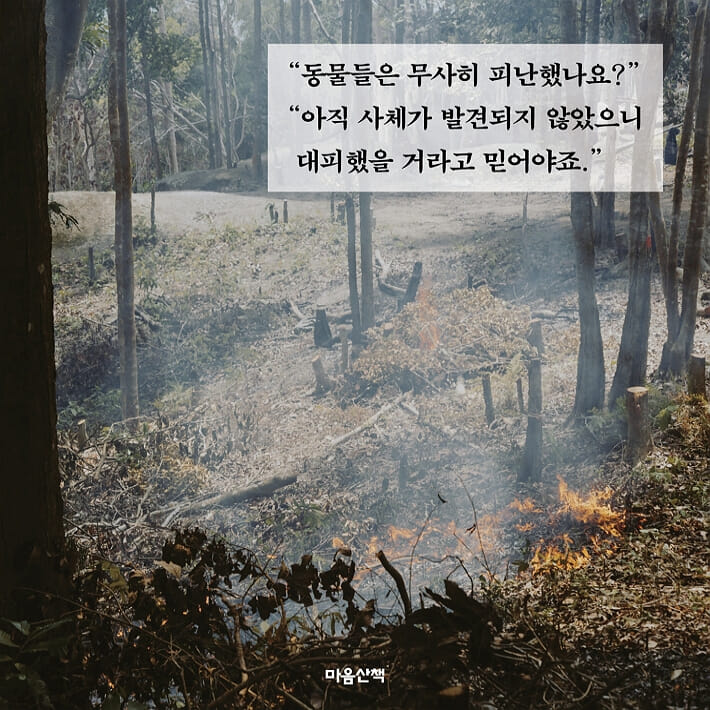 카드뉴스1