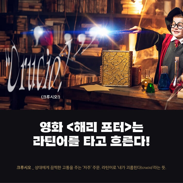 카드뉴스0