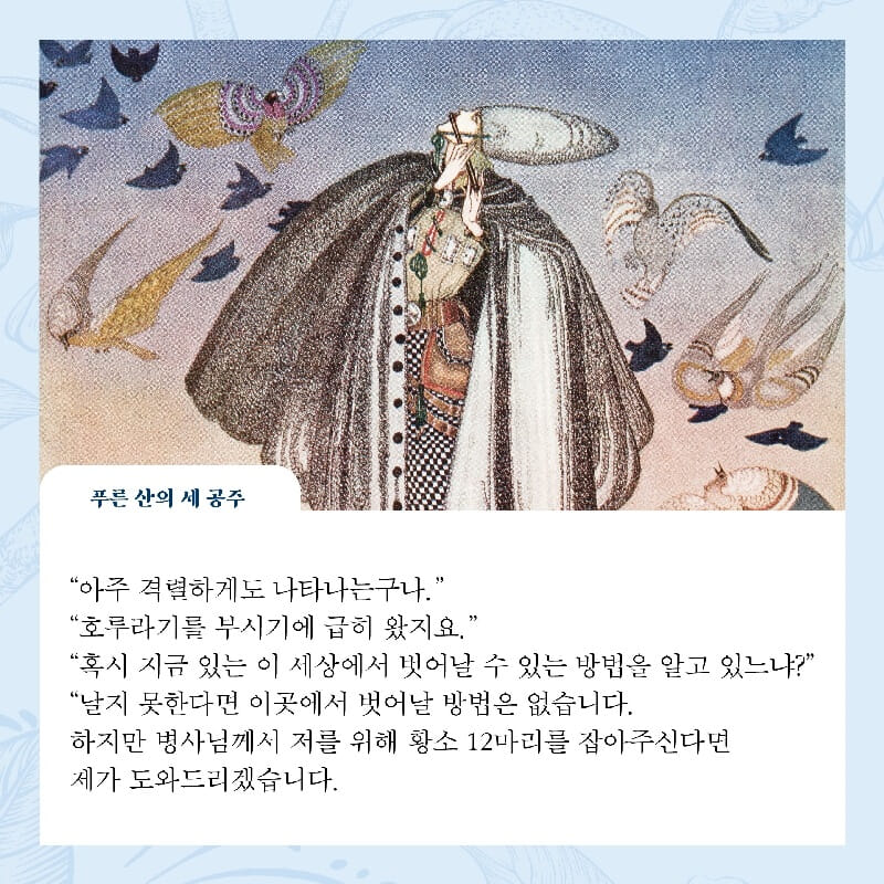카드뉴스5
