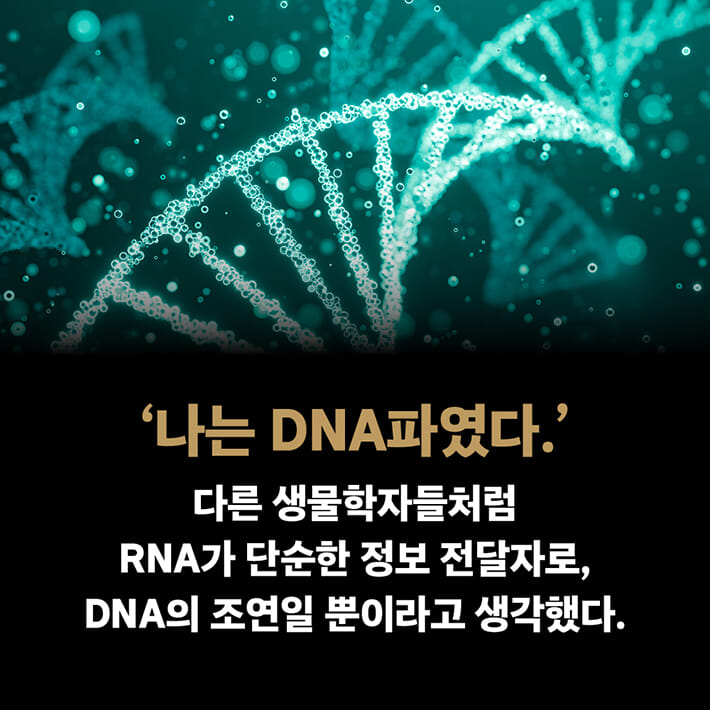 카드뉴스0