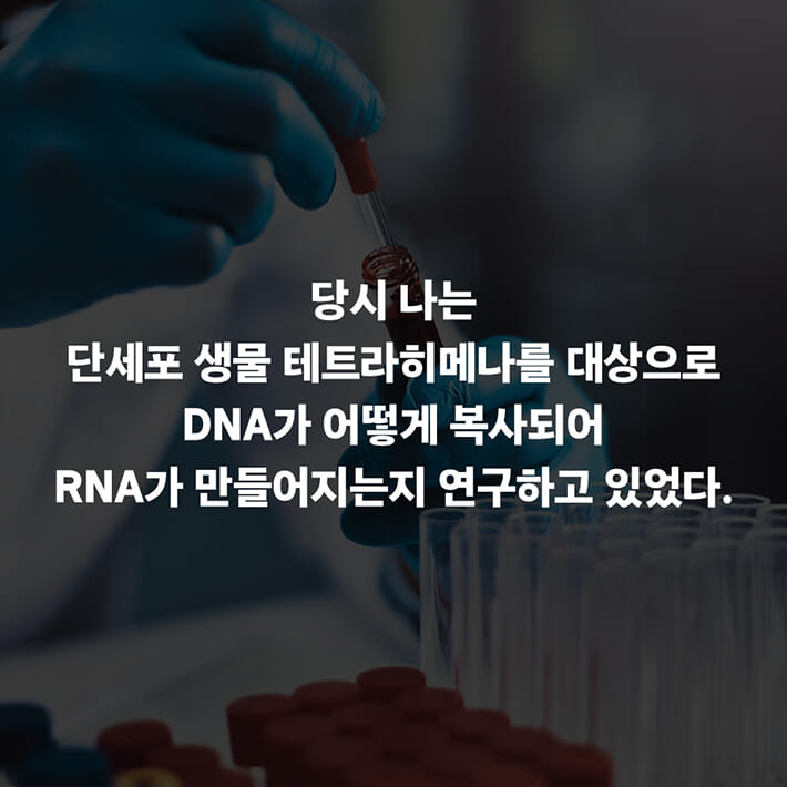 카드뉴스1