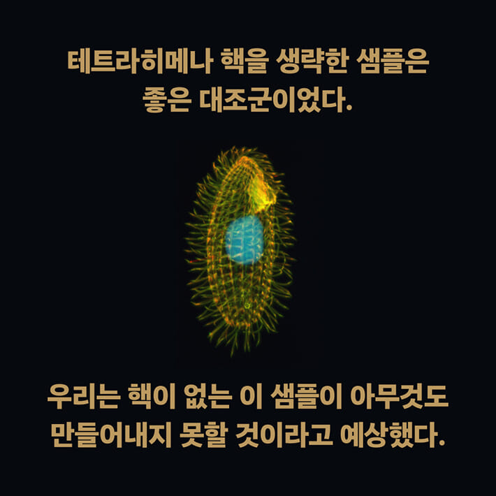 카드뉴스2