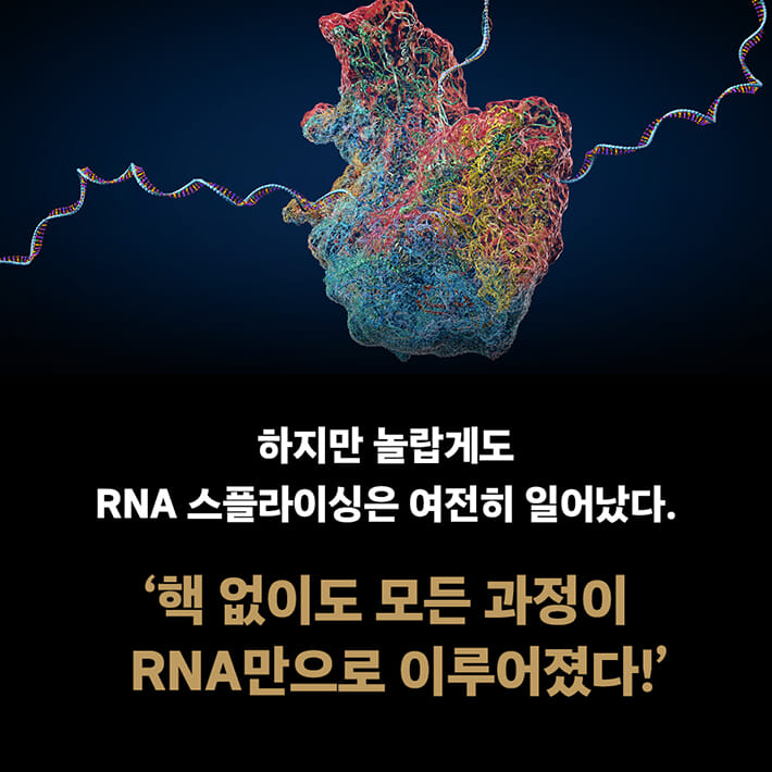 카드뉴스3