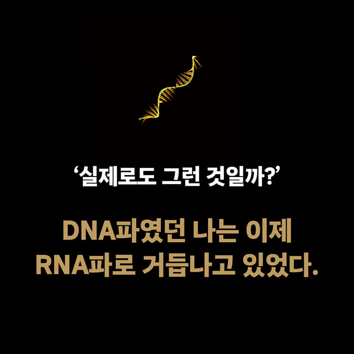카드뉴스4