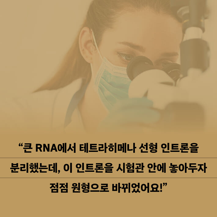 카드뉴스6