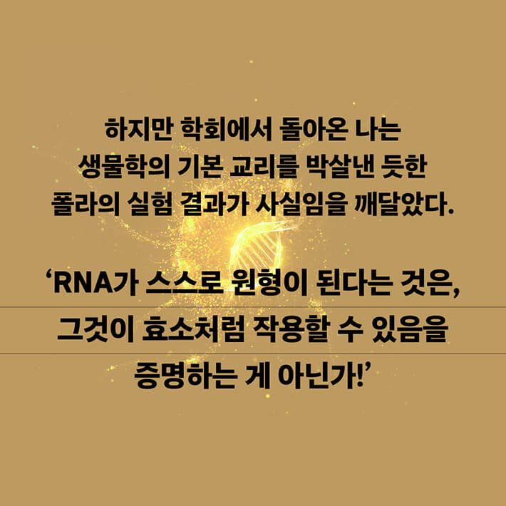 카드뉴스8