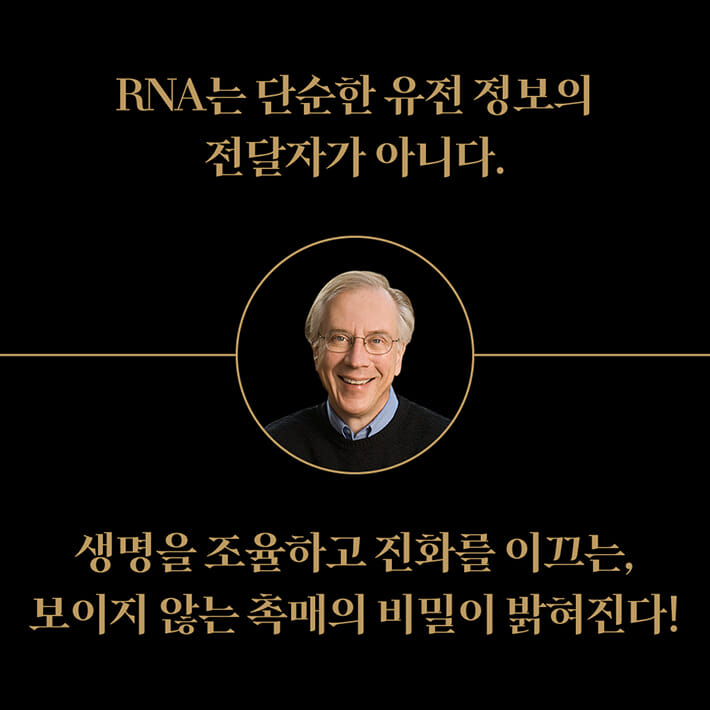 카드뉴스10