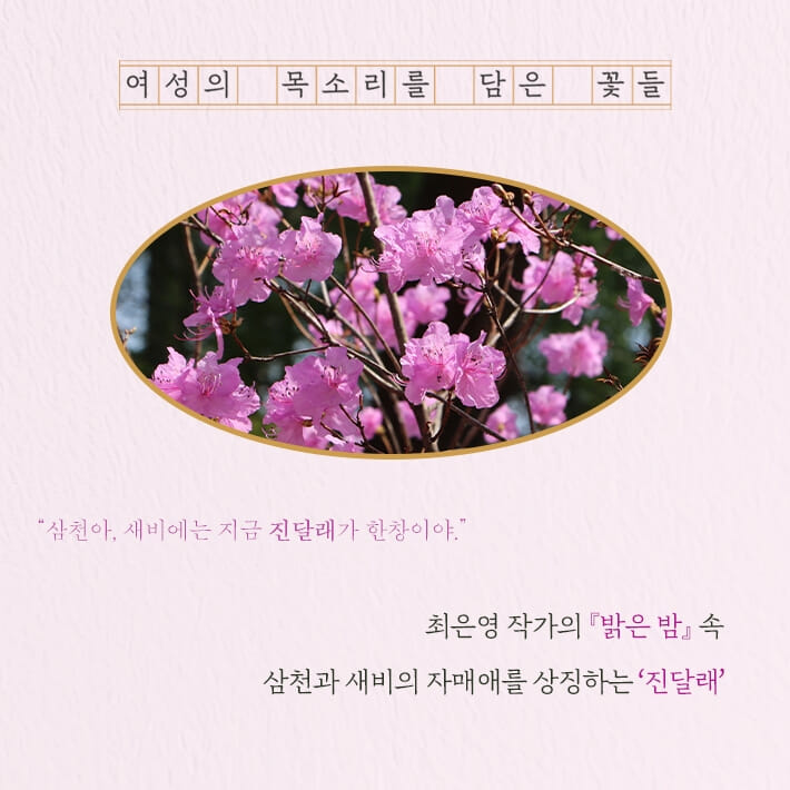 카드뉴스1