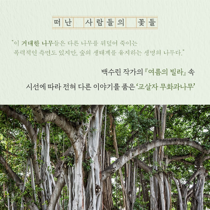 카드뉴스2