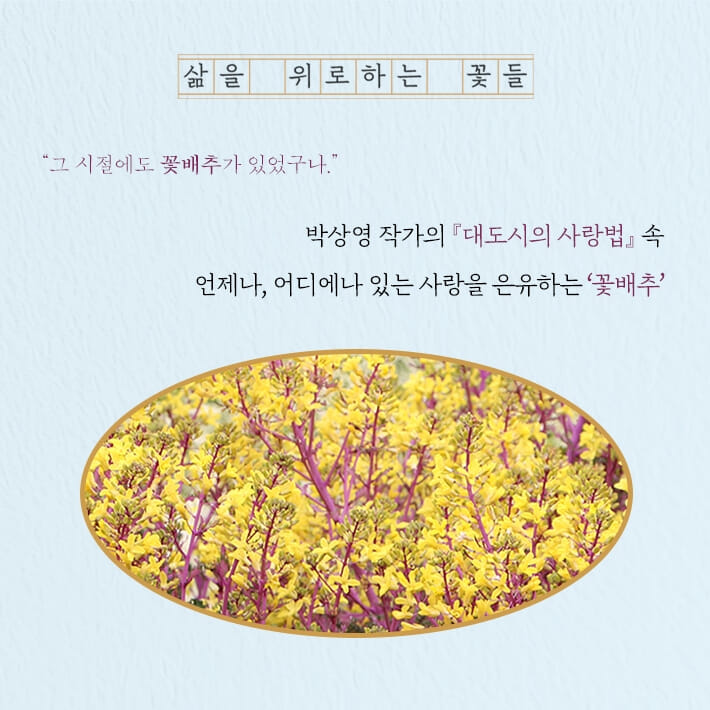 카드뉴스3