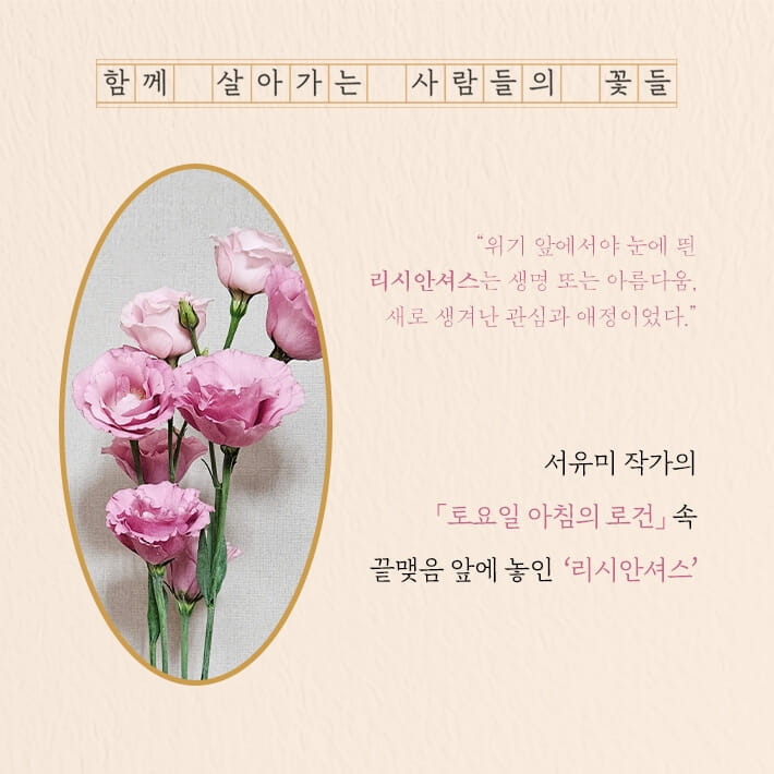 카드뉴스4