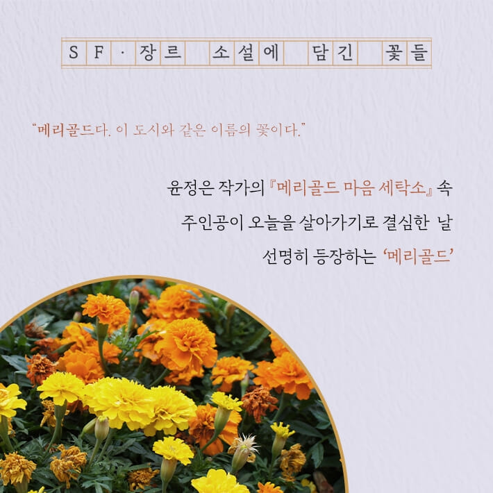 카드뉴스5