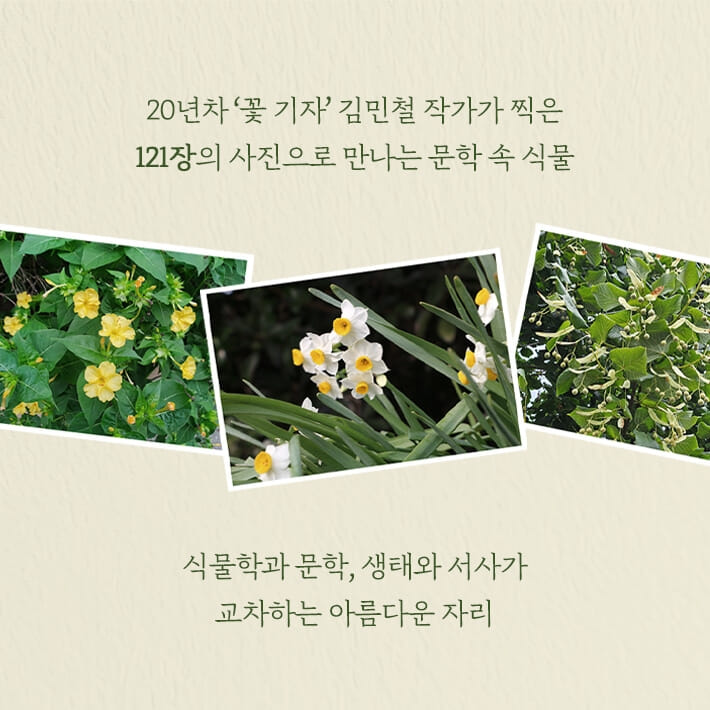 카드뉴스6