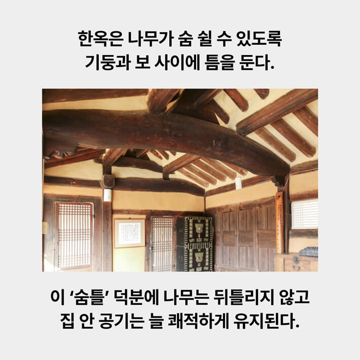 카드뉴스1