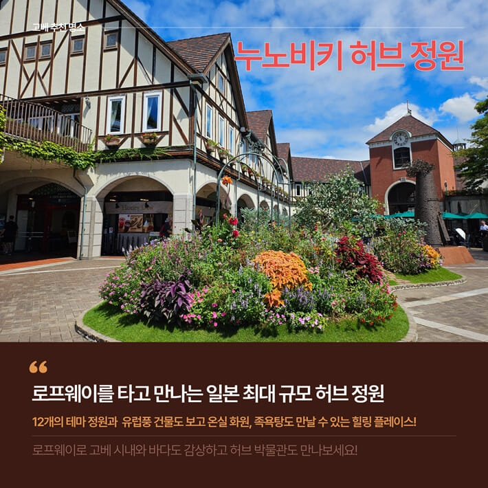 카드뉴스4