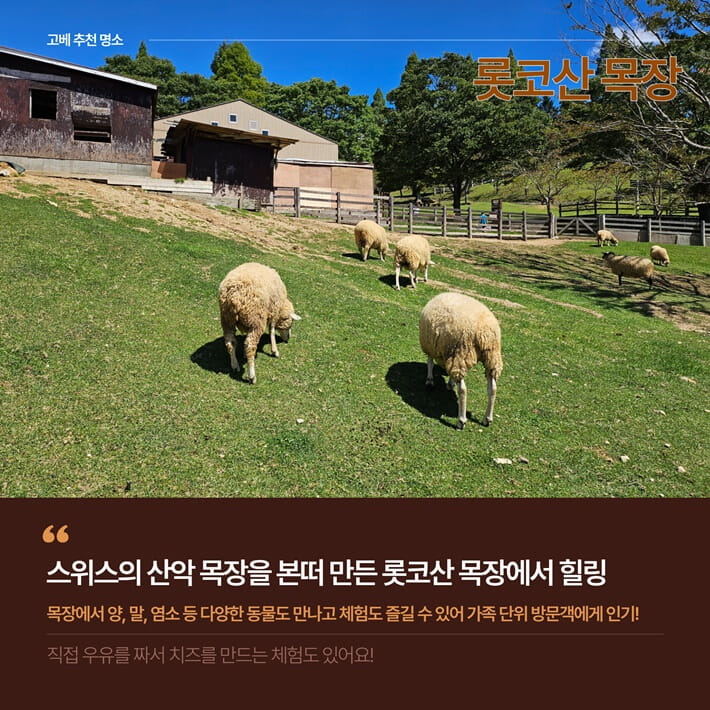 카드뉴스5