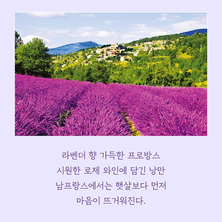 카드뉴스4