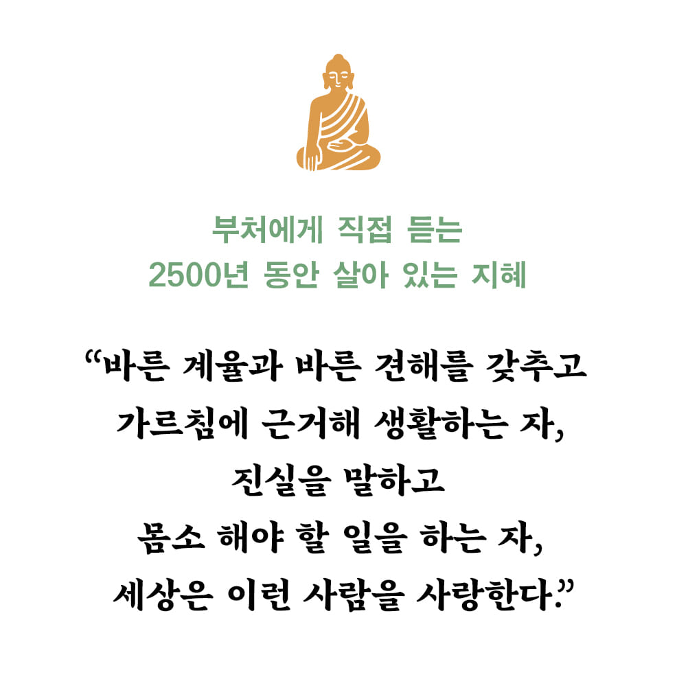 카드뉴스4