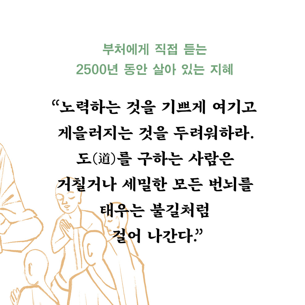 카드뉴스5