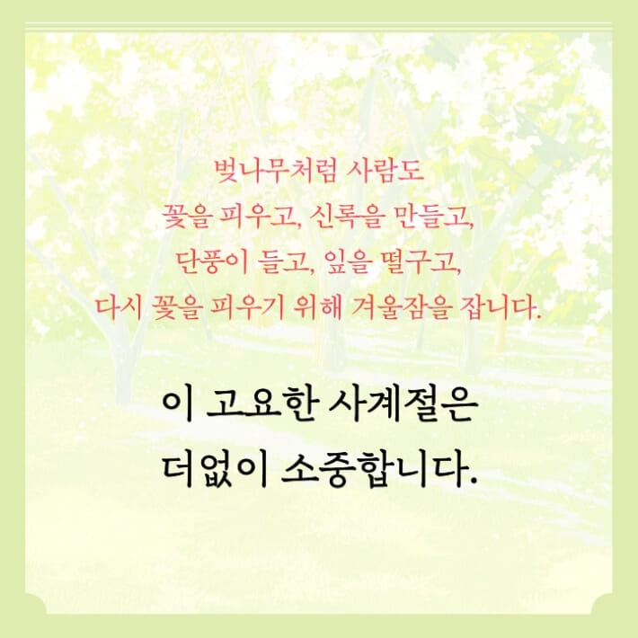 카드뉴스5