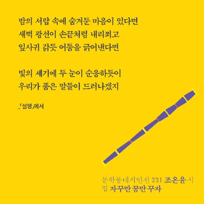 카드뉴스5
