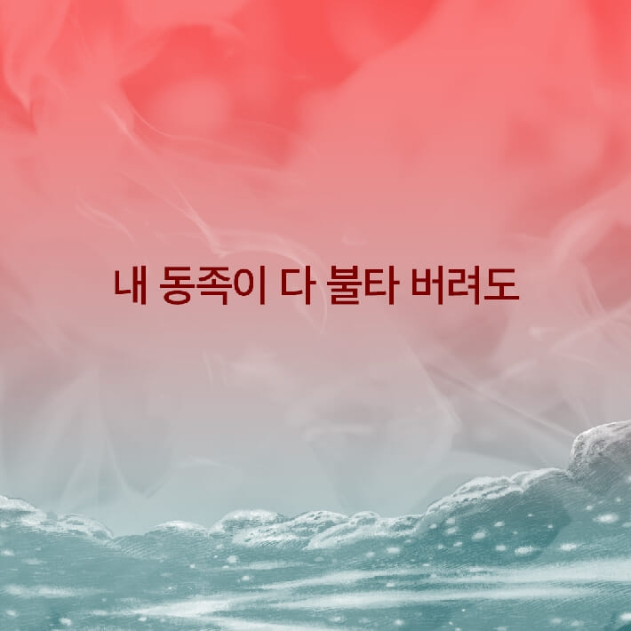 카드뉴스3