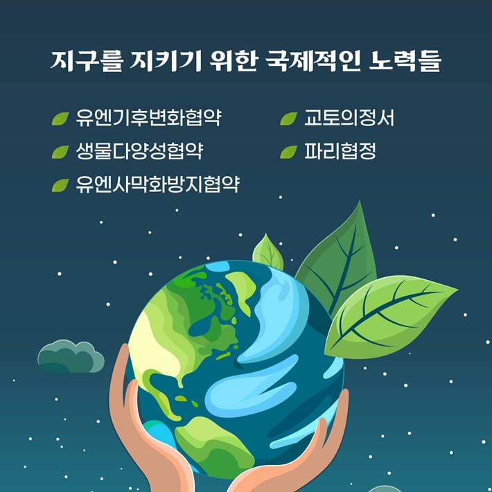 카드뉴스4