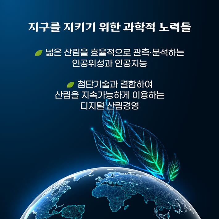 카드뉴스5