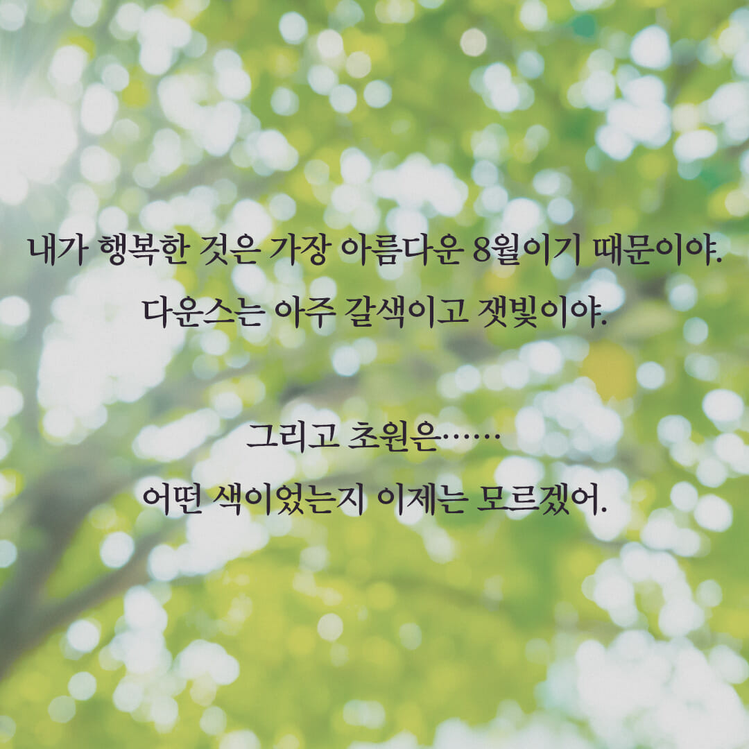 카드뉴스4