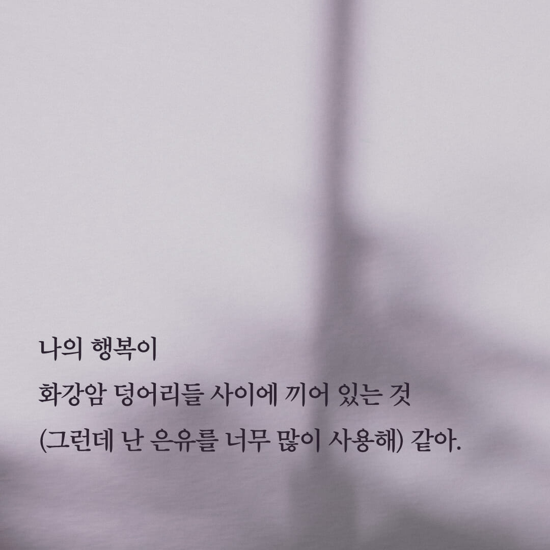 카드뉴스5