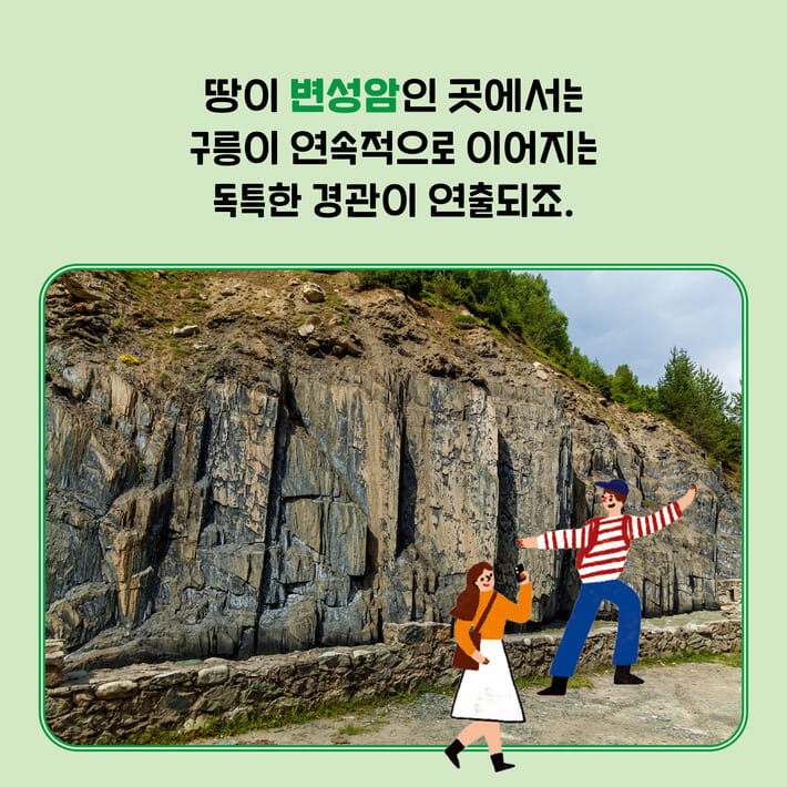 카드뉴스3