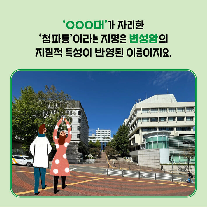 카드뉴스5