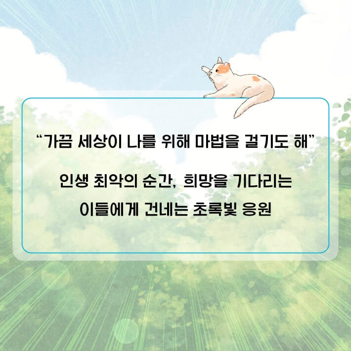 카드뉴스6