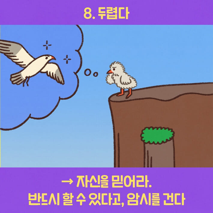 카드뉴스8