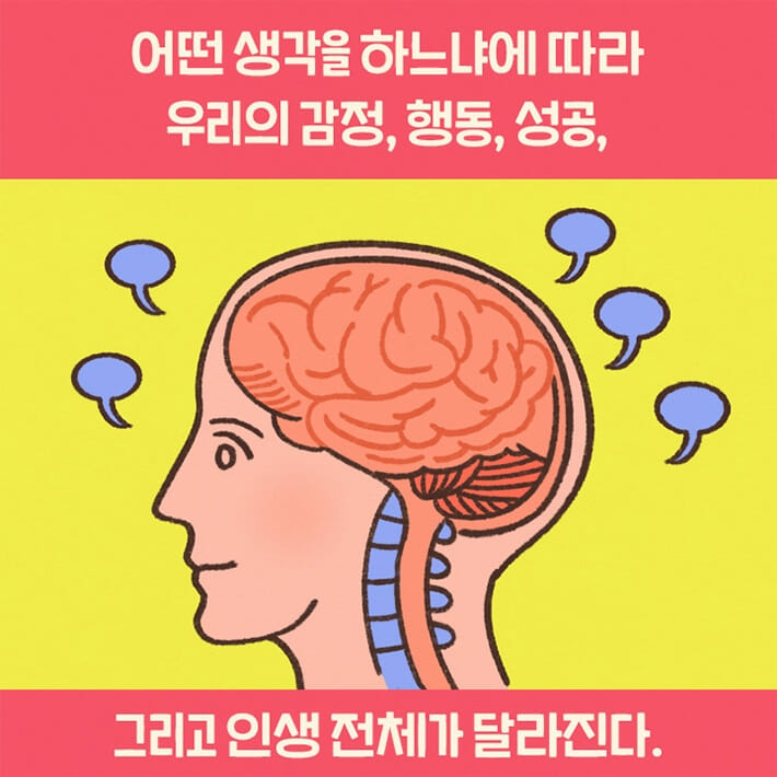 카드뉴스12