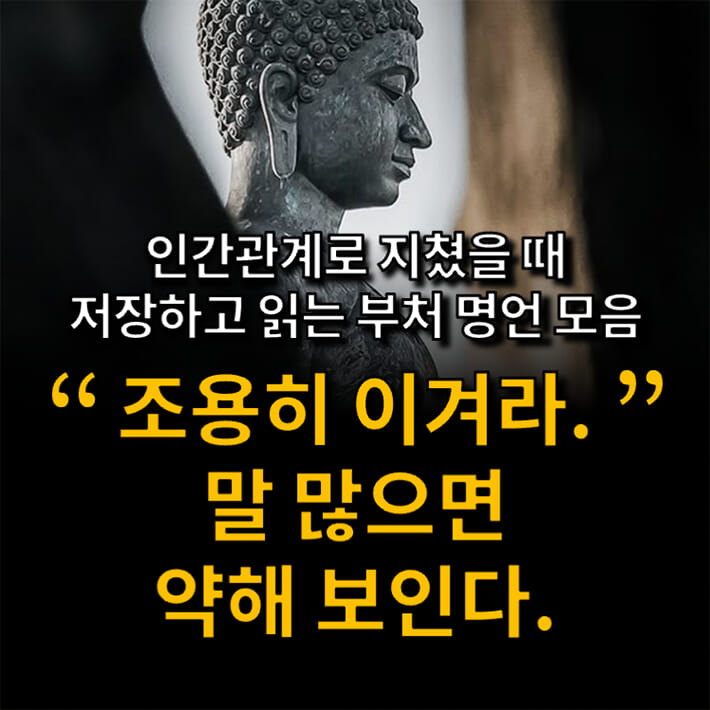 카드뉴스0