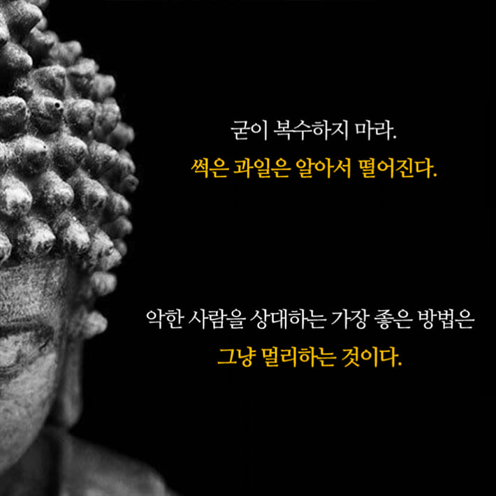 카드뉴스1