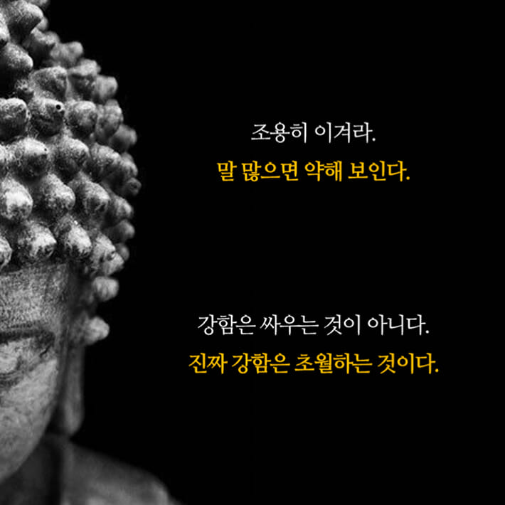 카드뉴스2