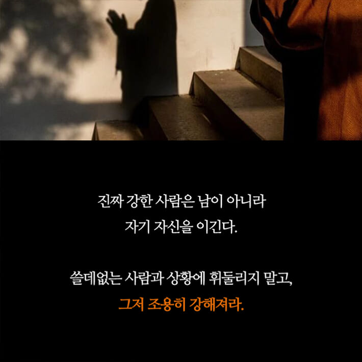 카드뉴스5